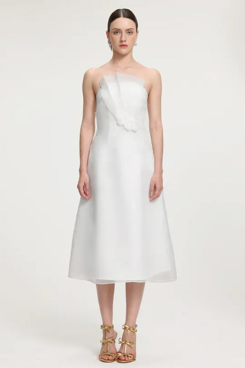 Ruffled Organza Midi Dress by Skye&Iris