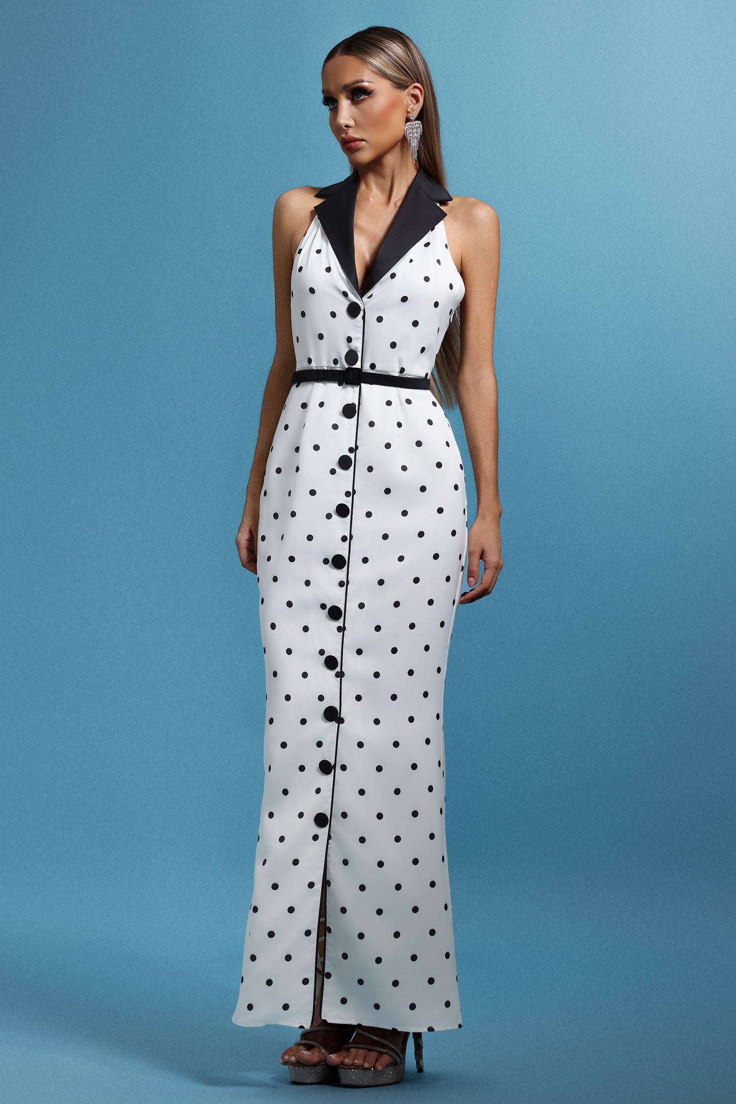 Daryl Sleevess Polka Dot V-Neck Maxi Dress D250703001