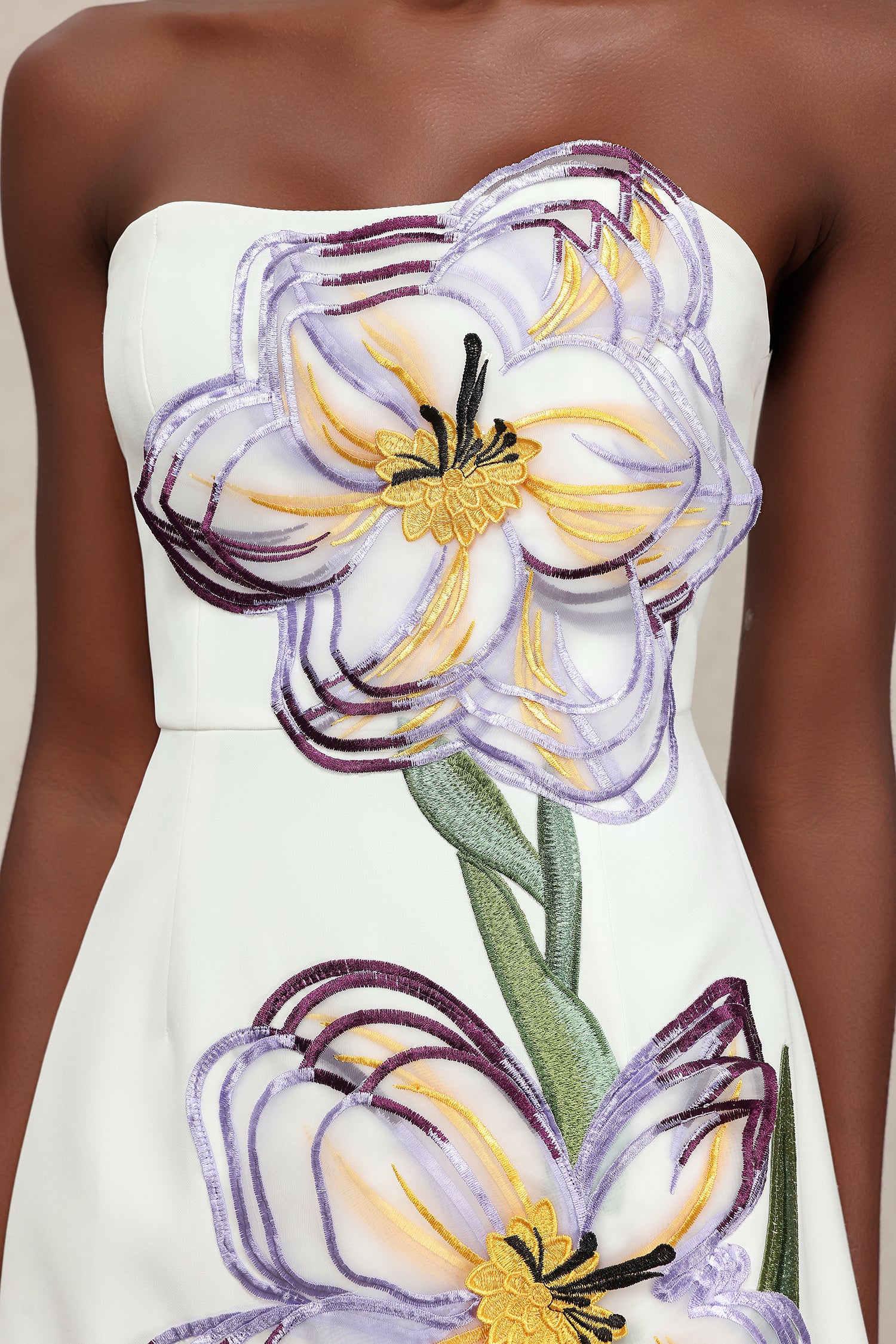 Ginny Sleeveless Embroidery Flowers Mini Dress C250700001