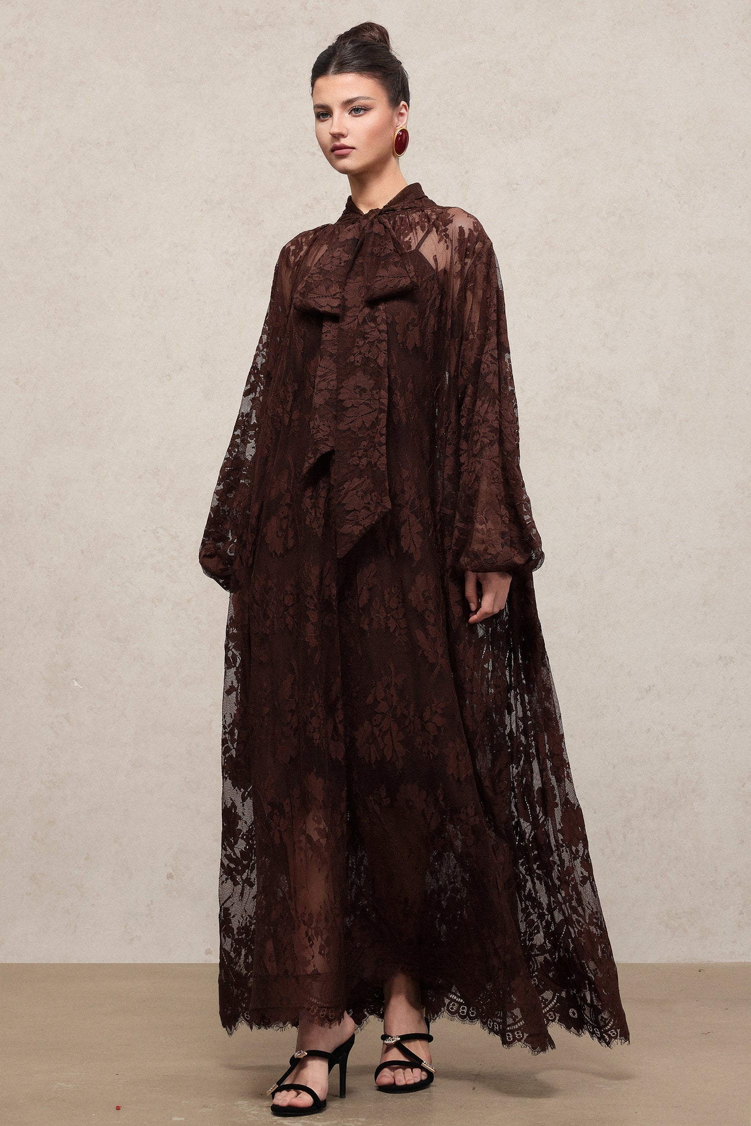 Deliyn Resort Flowy Long Sleeve Embroidered Mesh Lace Maxi Dress C251000037