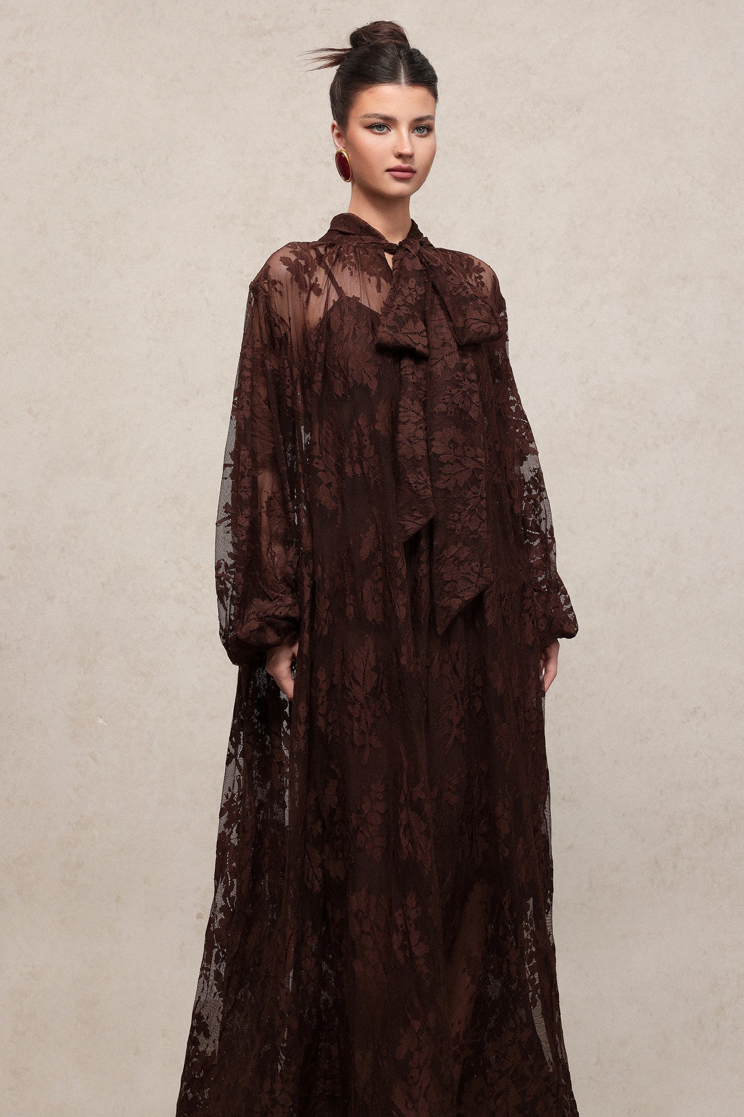 Deliyn Resort Flowy Long Sleeve Embroidered Mesh Lace Maxi Dress C251000037