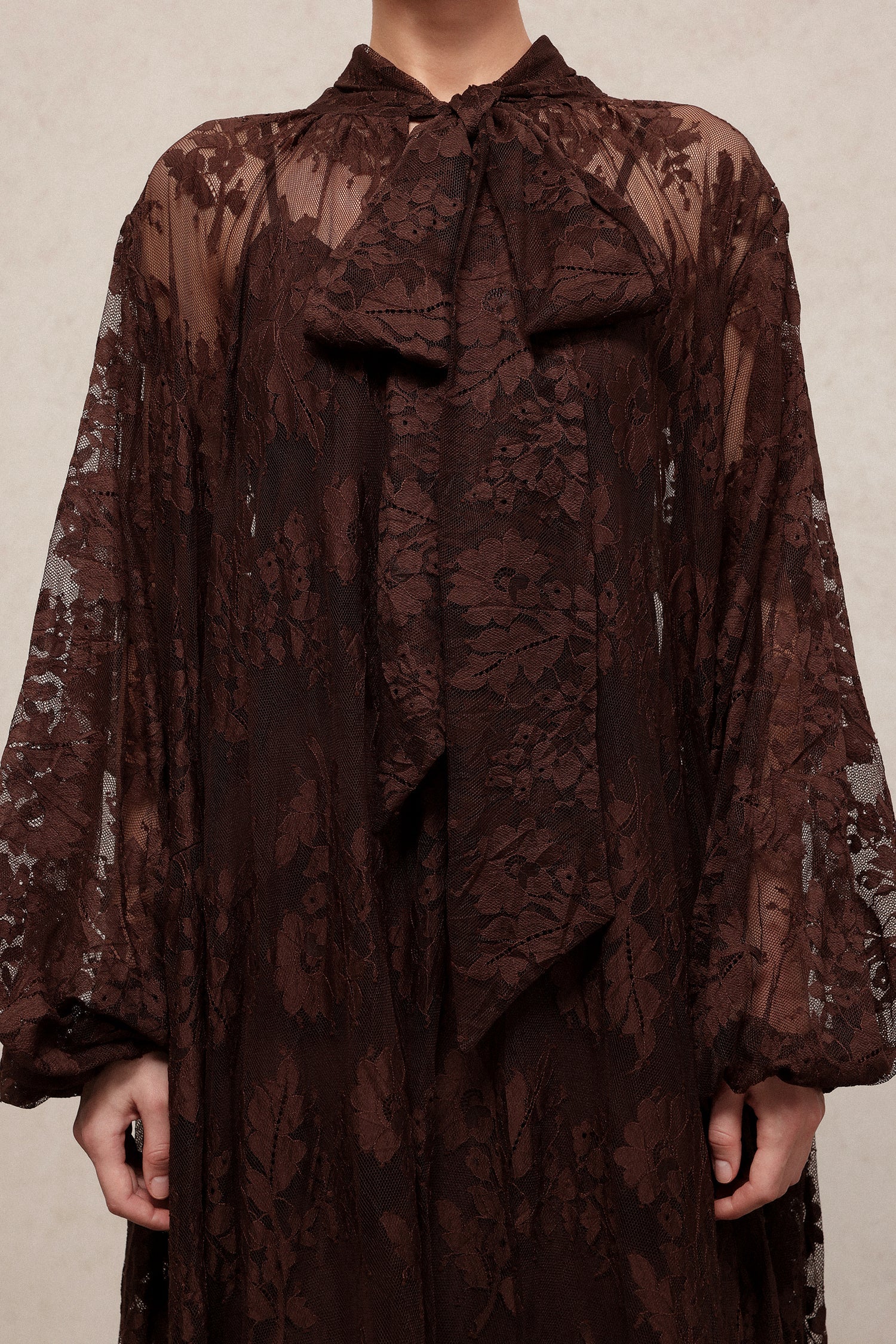 Deliyn Resort Flowy Long Sleeve Embroidered Mesh Lace Maxi Dress C251000037