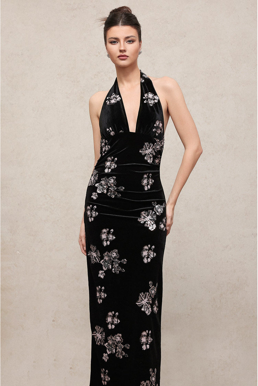 Velma Vintage Romantic V Neck Sleeveless Sequin Embroidered Velvet Maxi Dress C251000018