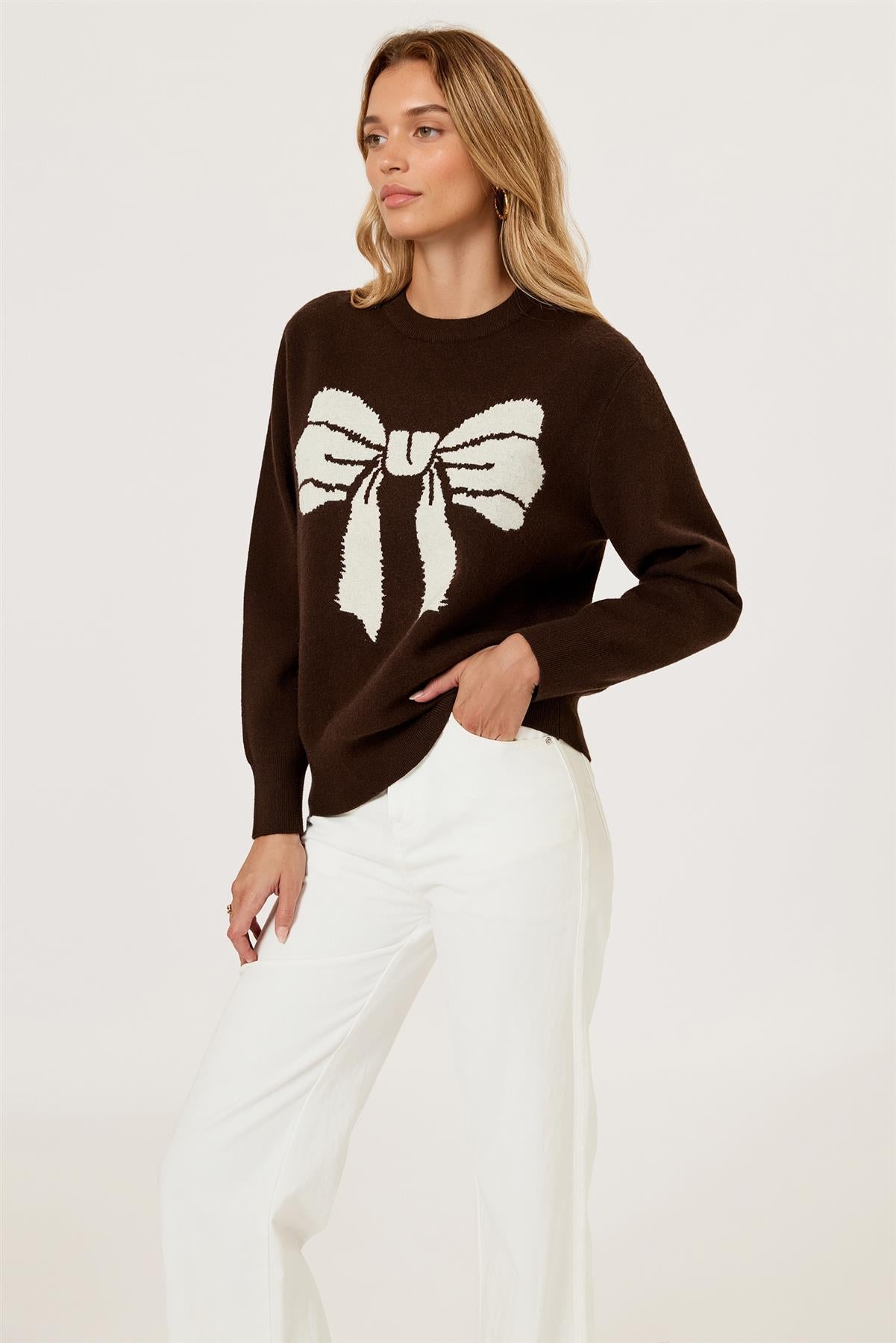 Bowknot Pattern Knit Jumper Top In Brown FS850