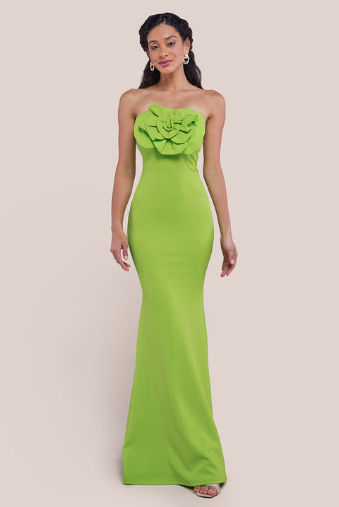 Goddiva Scuba Crepe Bandeau Rose Maxi Dress - Lime Green