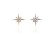 North Star Gold Earrings by Cachet London