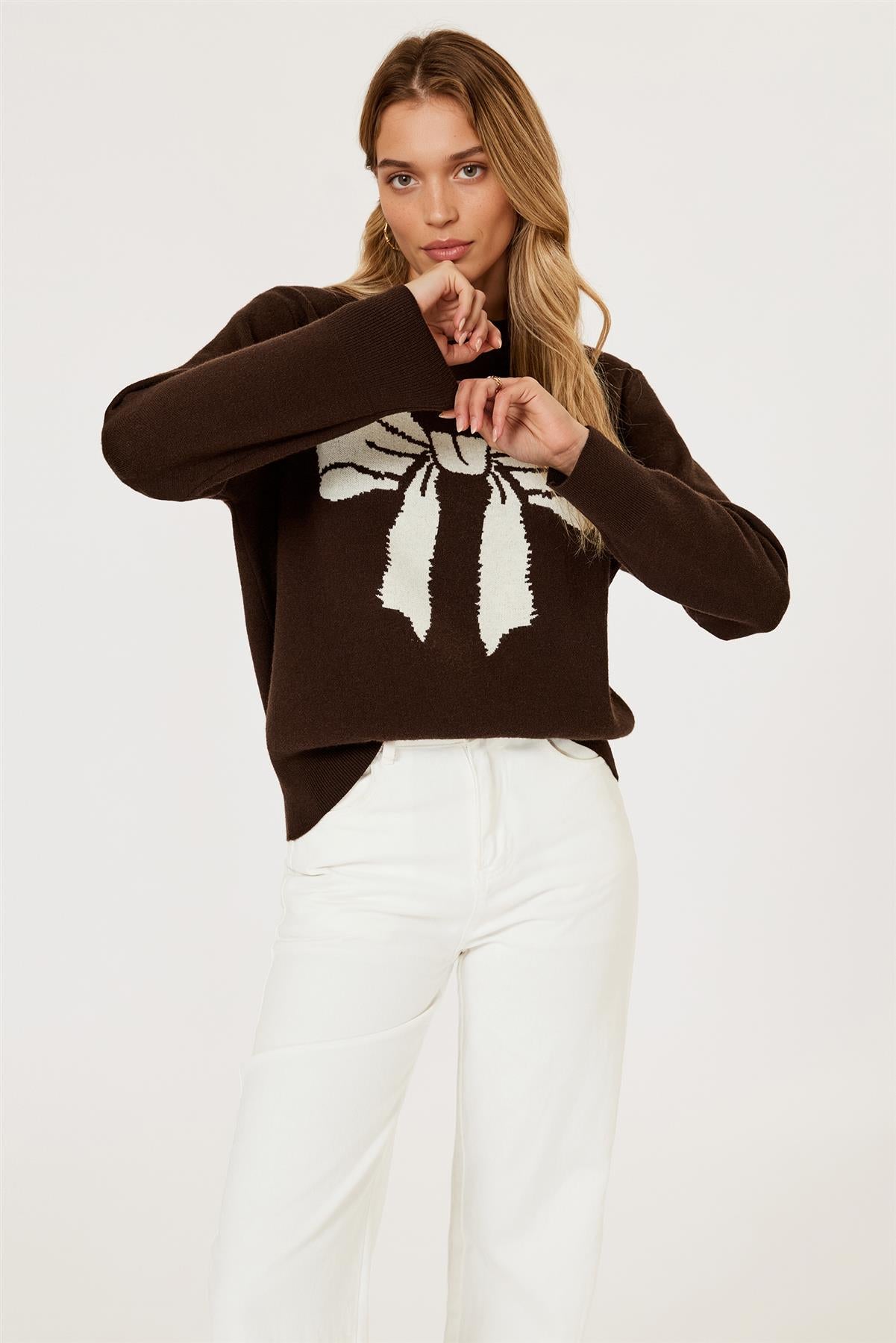 Bowknot Pattern Knit Jumper Top In Brown FS850