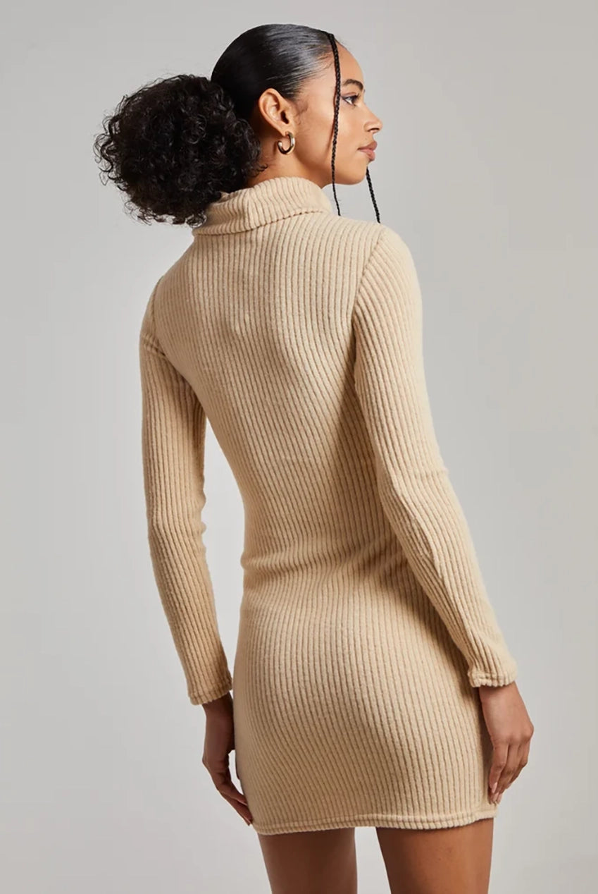 Chunky Brushed Rib Roll Neck Dress AW22203