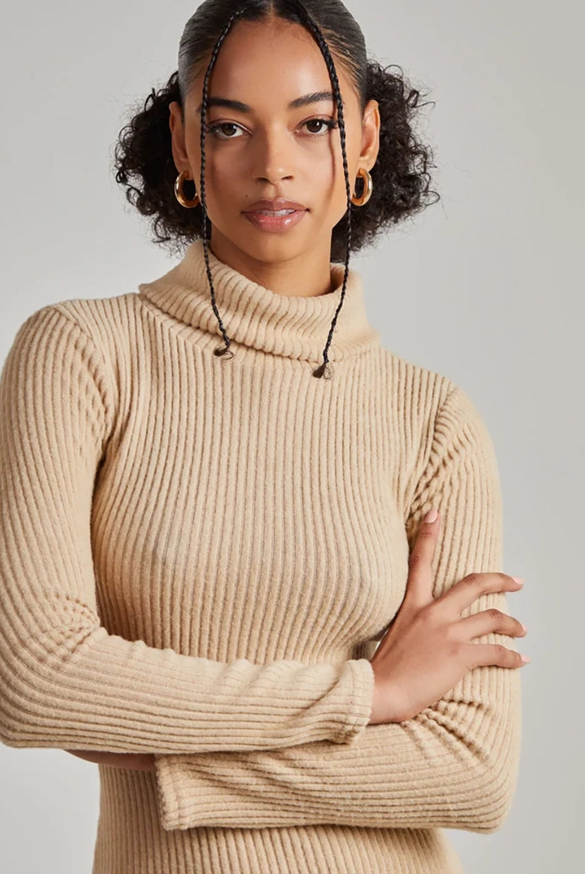 Chunky Brushed Rib Roll Neck Dress AW22203