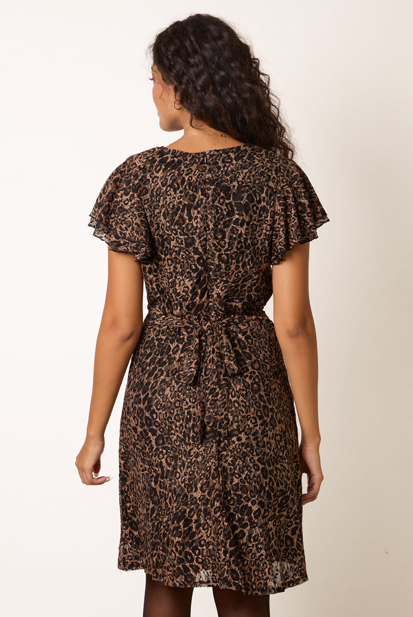 Leopard Print Lace Frill Sleeve Wrap Mini Dress AW26011B058