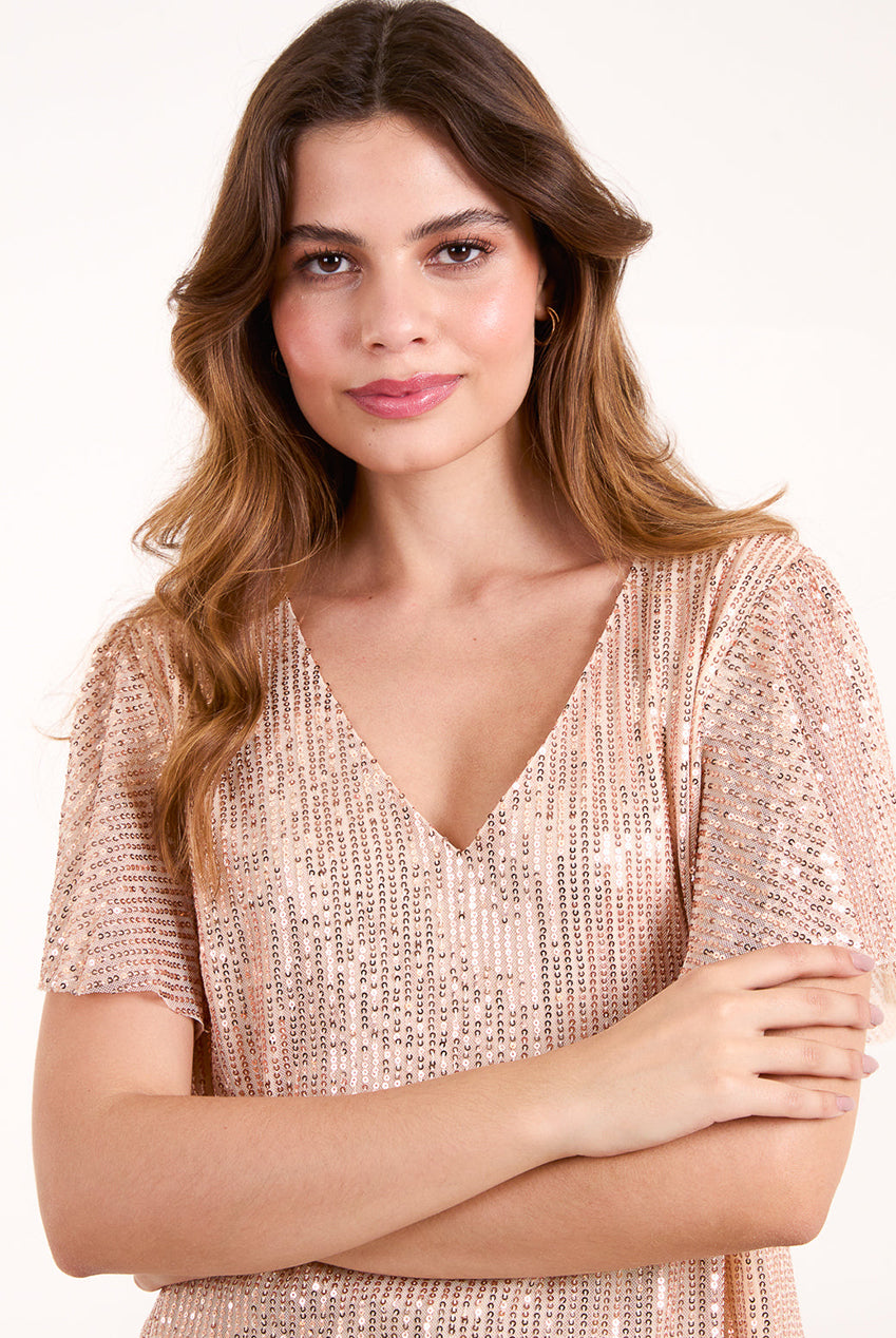 Angel Sleeve V Neck Sequin Top BV246421080
