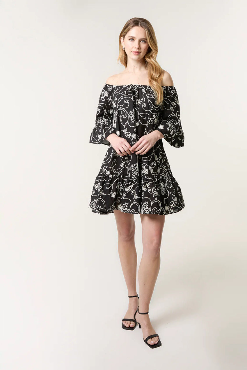 Embroidered Smock Dress BV257872003A