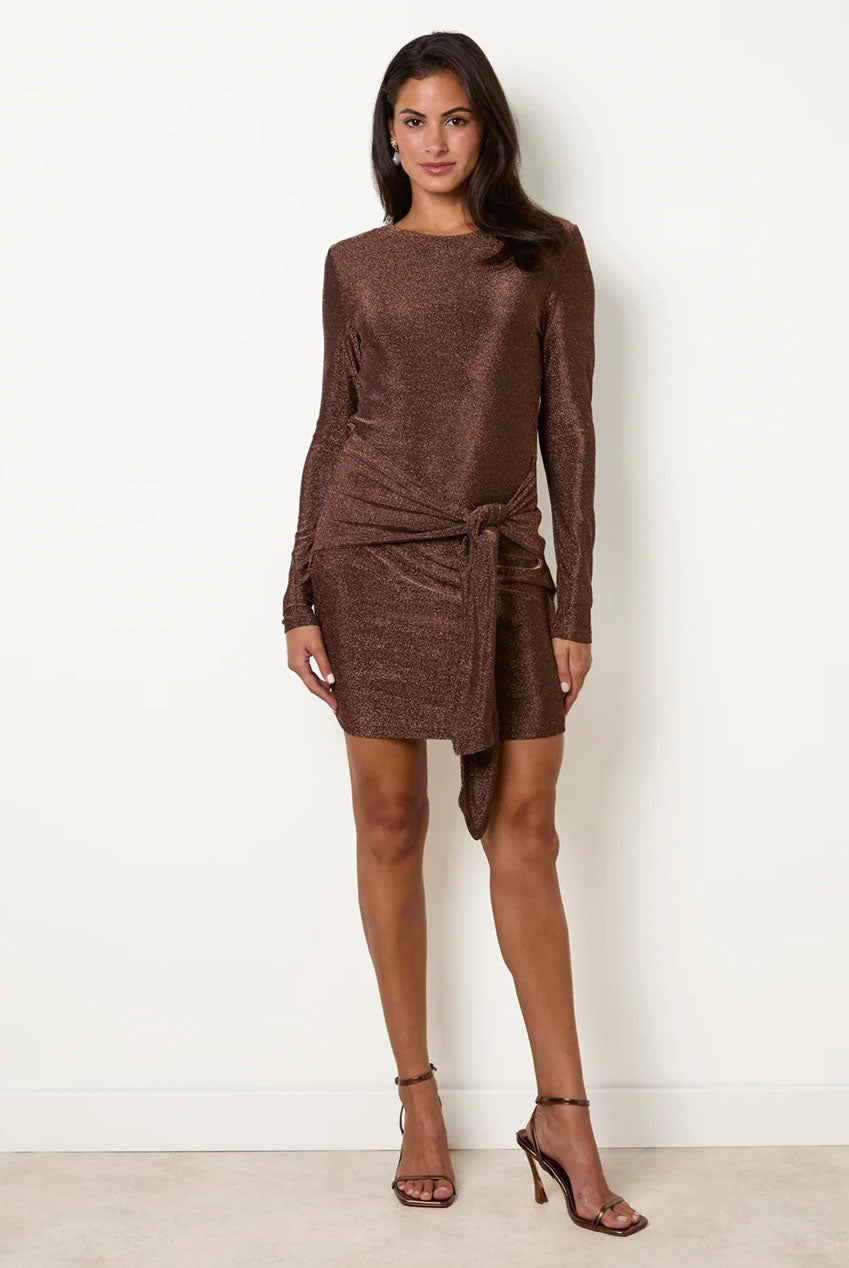 Slinky Metallic Tie Front Mini Dress BV261828184