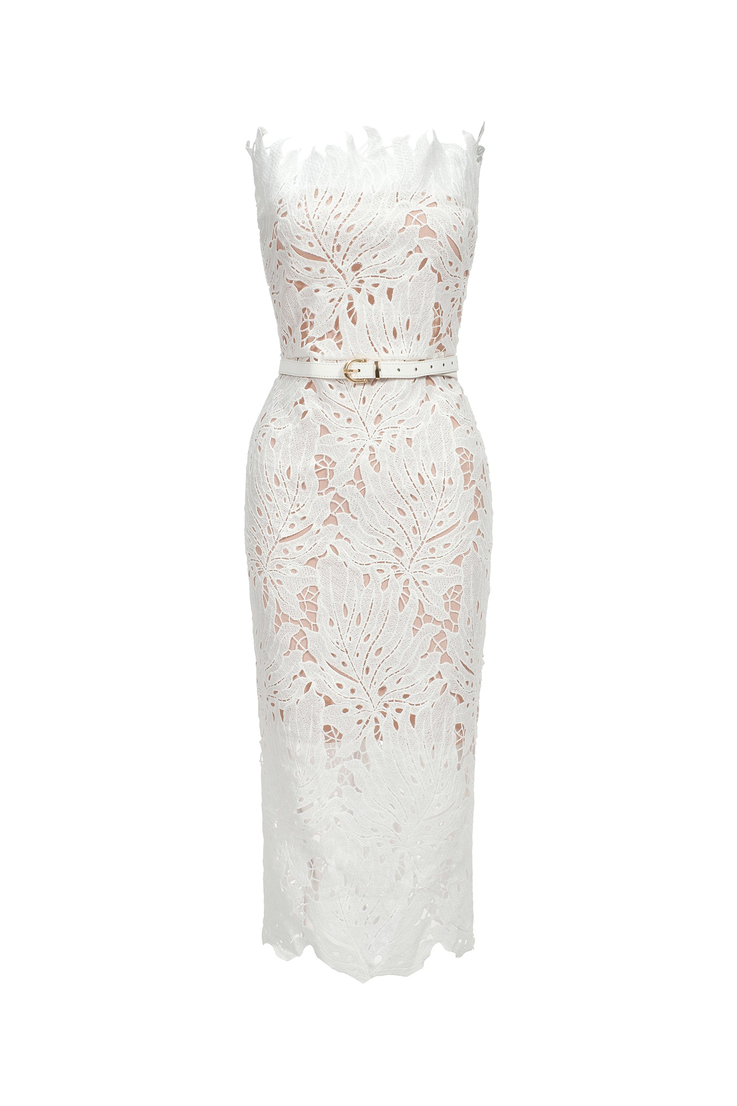 Stripe Strapless Lace Midi Bandage Dress D230400047