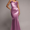 Satin Cowl Neck With Strappy Back Maxi - Pink