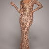 Embroidered Sequin & Mesh Maxi Dress - Champagne