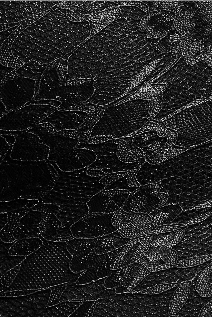 Off The Shoulder Lace Skater Mini Dress - Black DR2563C