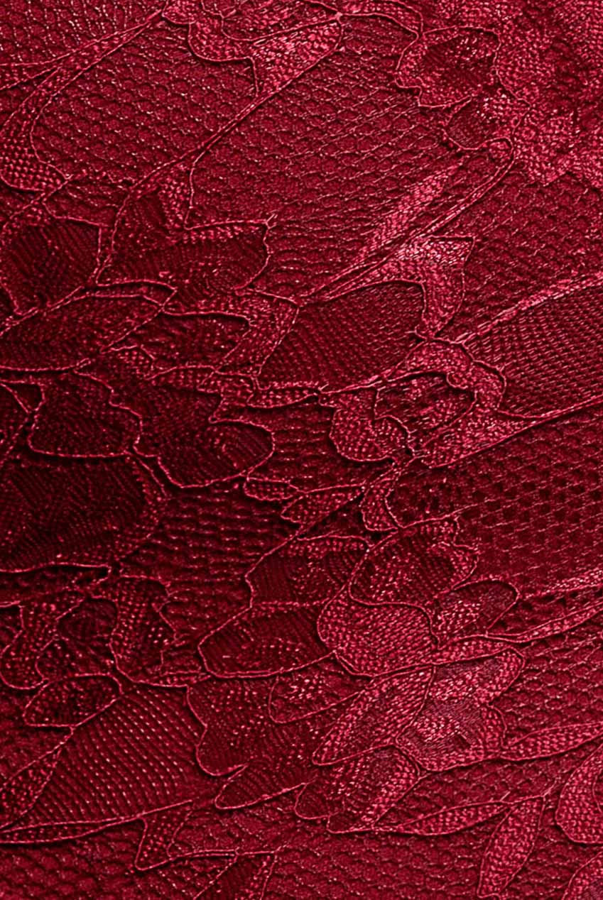 Off The Shoulder Lace Skater Mini Dress - Wine DR2563C