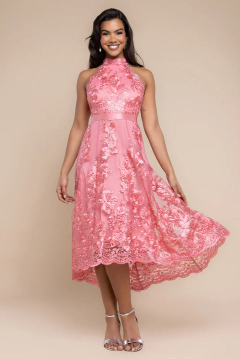 Halter Neck Lace High And Low Dress - Coral by Goddiva