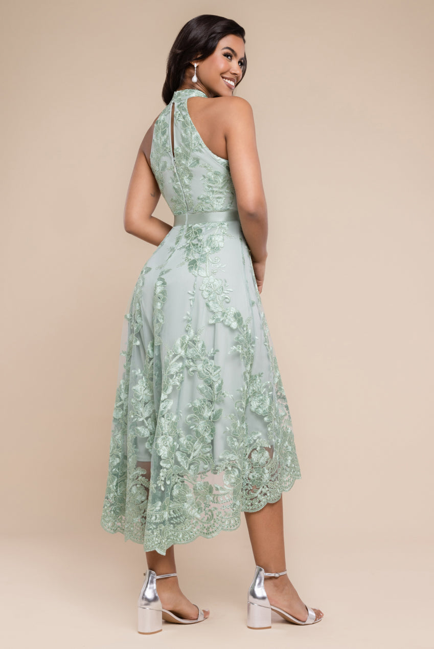 Halter Neck Lace High And Low Dress - Sage Green DR3346QZ