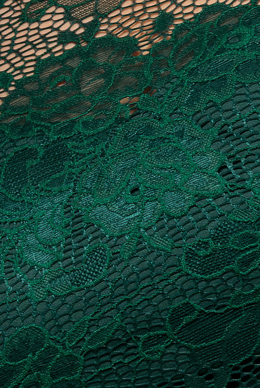 Scalloped Lace A-Line Maxi Dress - Emerald Green DR4496PLUS