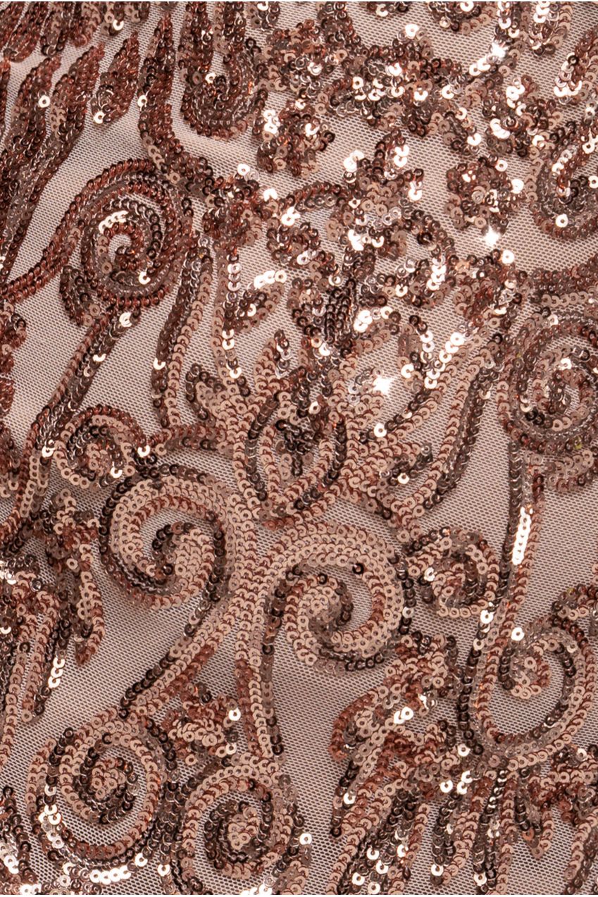 Embellished Sequin Bishop Sleeve Maxi Dress - Champagne DR4634