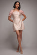 Lace Up Jacquard Mini Dress With Organza Wings - Blush Pink by Goddiva
