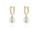 Gina Gold Earrings by Cachet London