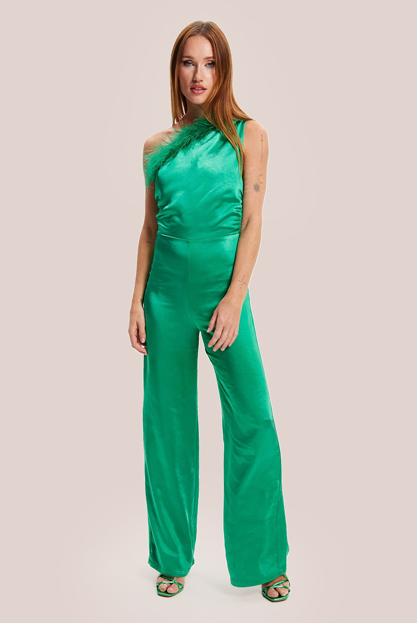 One Shoulder Ostrich Feather Detail Jumpsuit H6-MSL006