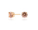 Lana 6mm Champagne Earrings by Cachet London