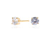 Lana 6mm Gold Earrings by Cachet London