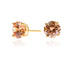 Lana 8mm Champagne Earrings by Cachet London