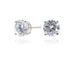 Lana 8mm Earrings by Cachet London