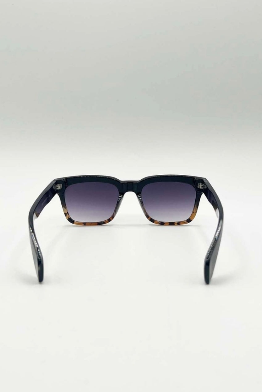 Square Sunglasses In Black Leopard SG2502302