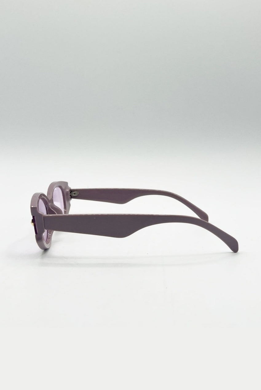 Oval Rectangular Vintage Sunglasses In Purple SG2510103