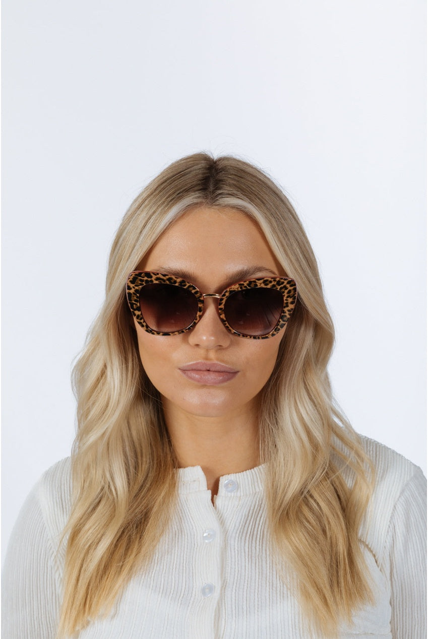 Oversized Cat-Eye Sunglasses In Brown Red SG2510610