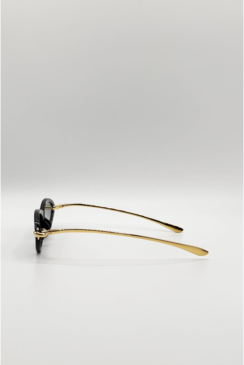 Bold Oval Angular Sunglasses In Black SG2605702