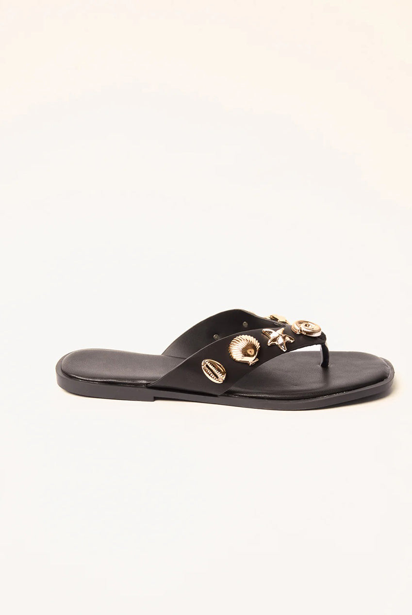 Sea Life Embellished Flip Flops SS26196B003