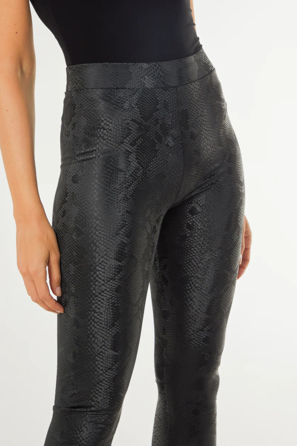 Black Snake Print Leather Look Leggings ALNL234212003