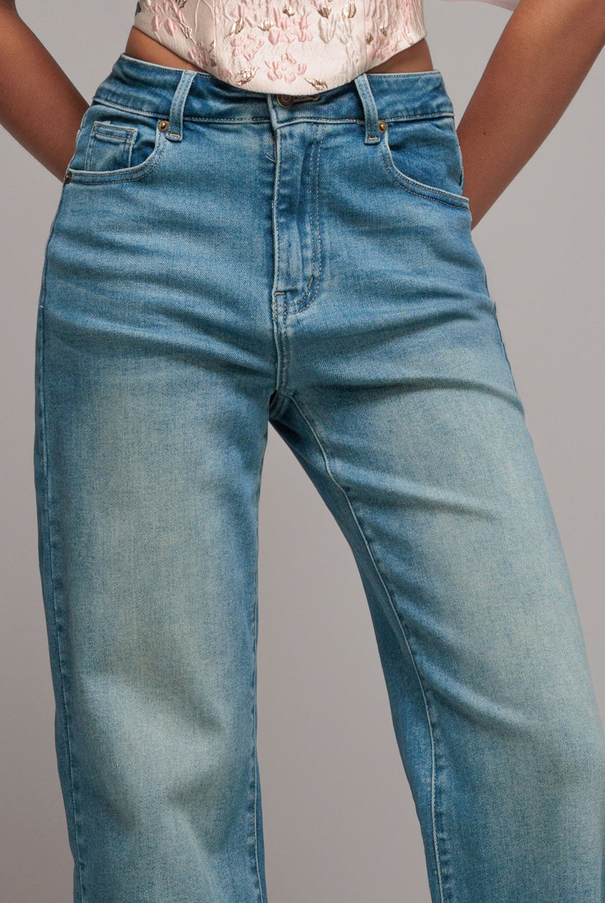 Straight Leg Denim Jeans - Blue TR394