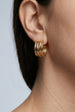 Nami Gold Twist Earrings by Uchi & Soto