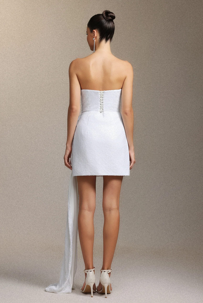 Vali Strapless Pleated Ribbon Mini Skirt W250804101