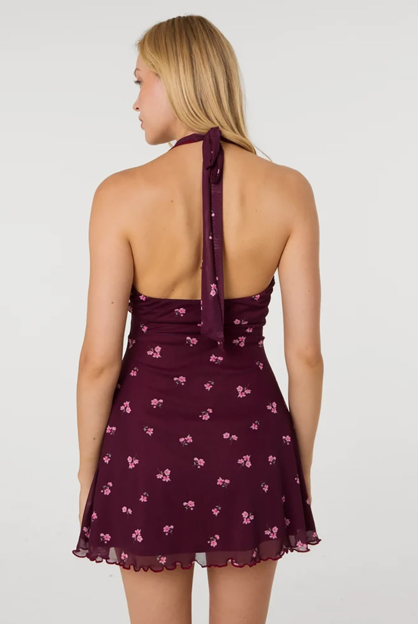 Floral Polka Dot Mesh Halter Dress AW26105P090