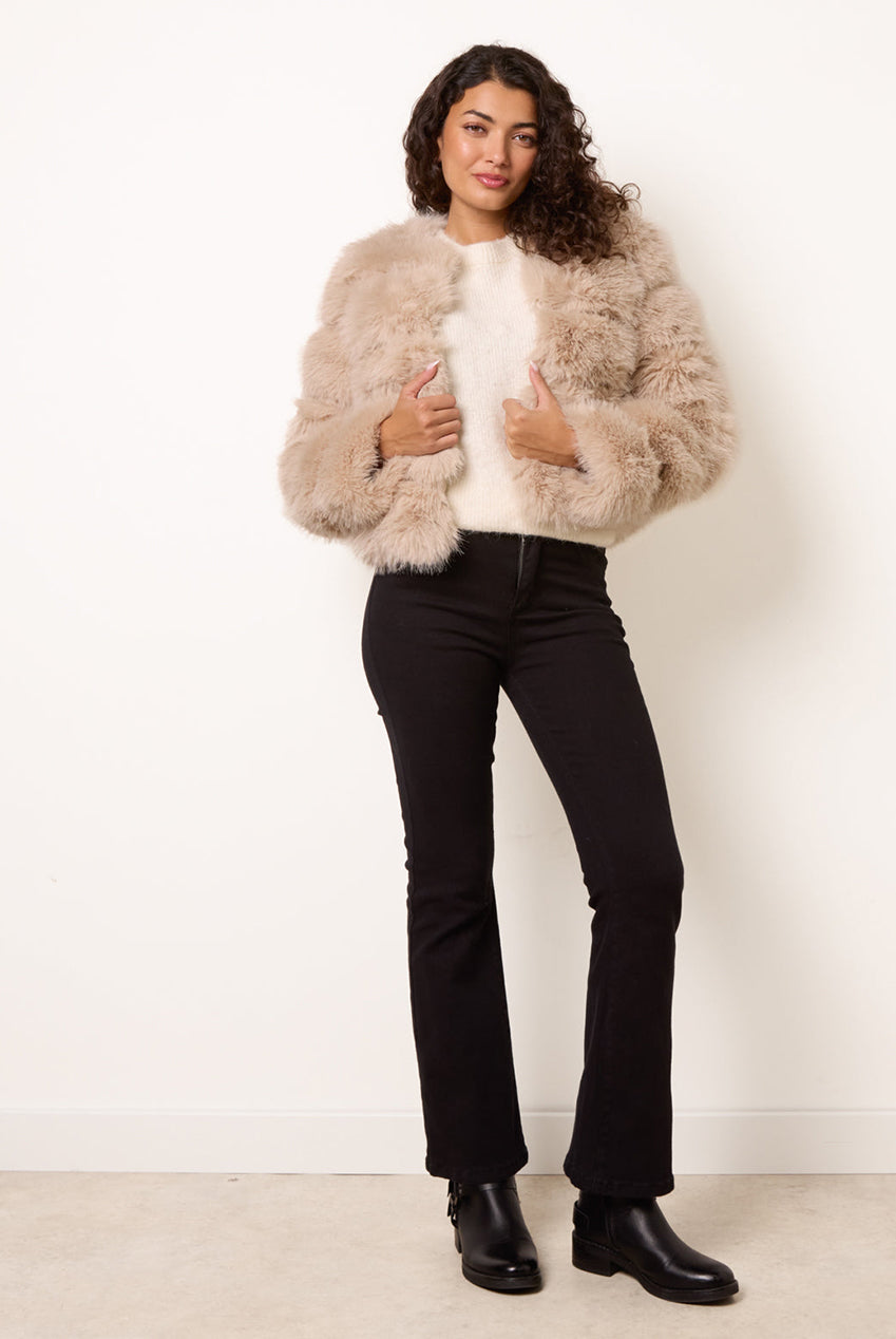 Faux Fur Short Coat BV261125039