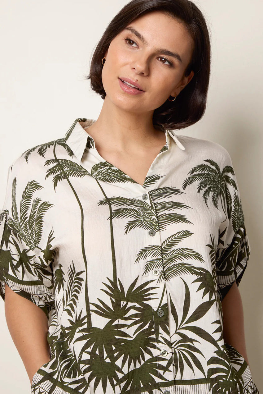 Palm Tree Set CC2736BV023