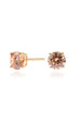 Lana 6mm Champagne Earrings by Cachet London