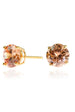 Lana 8mm Champagne Earrings by Cachet London