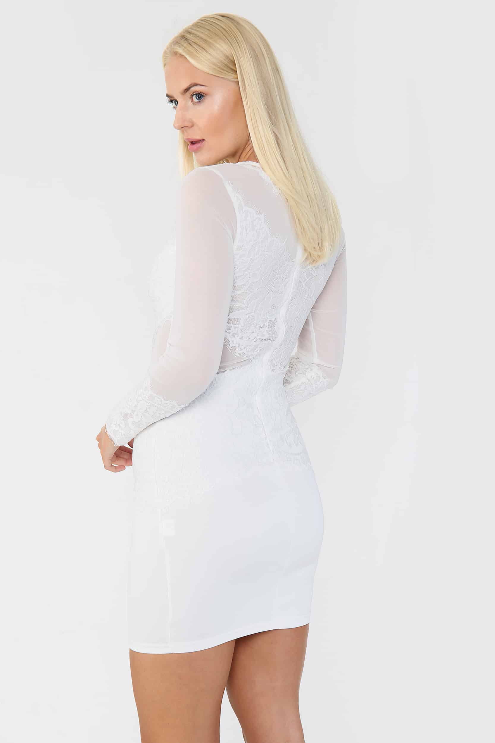 Lace Detail Mesh Bodycon Mini Dress AV00007