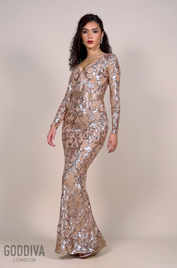 Embroidered Sequin & Mesh Maxi Dress - Champagne DR2558