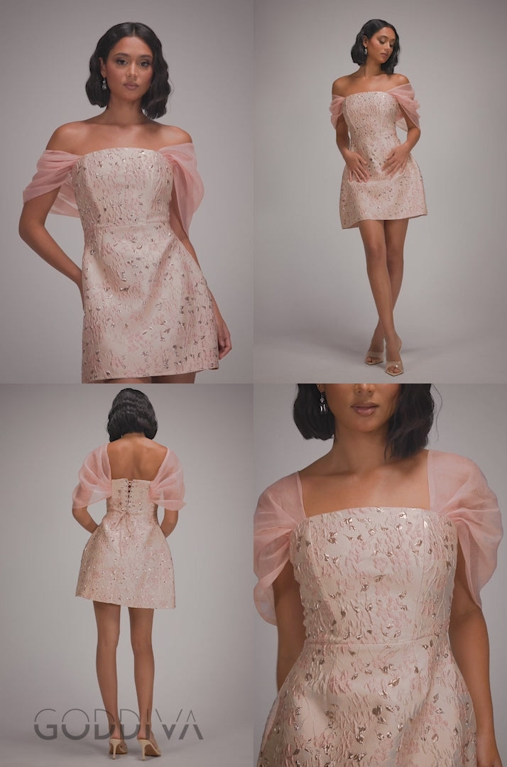 Lace Up Jacquard Mini Dress With Organza Wings - Blush Pink DR4781